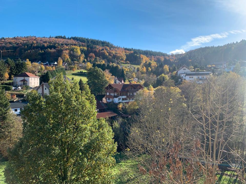 Thumbnail-Charmante 3-Zimmer-Souterrainwohnung mit Zugang zum Garten