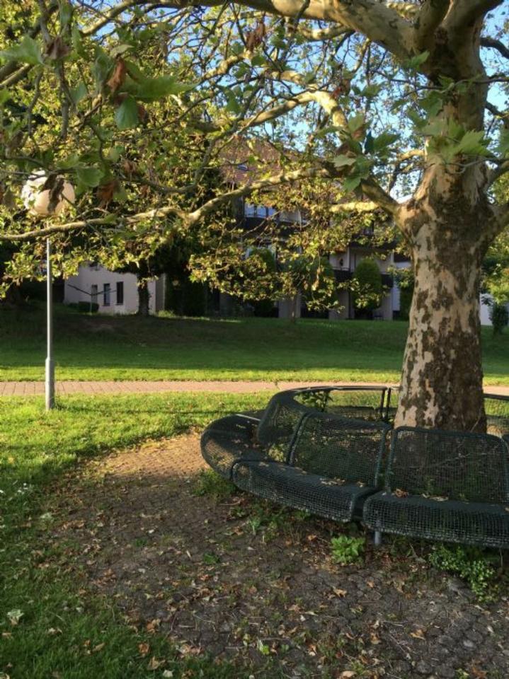 Thumbnail-1-Zimmer-Terrassenwohnung im Kurgebiet mit ca. 40 m² Wfl.