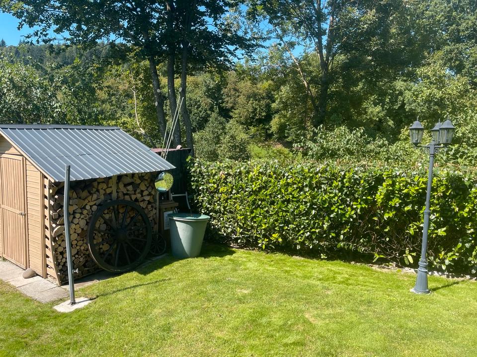 Thumbnail-Einfamilienhaus mit ELW