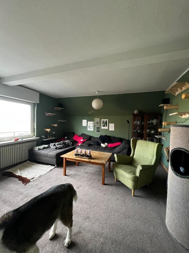 Thumbnail-2 Zimmerwohnung zu vermieten