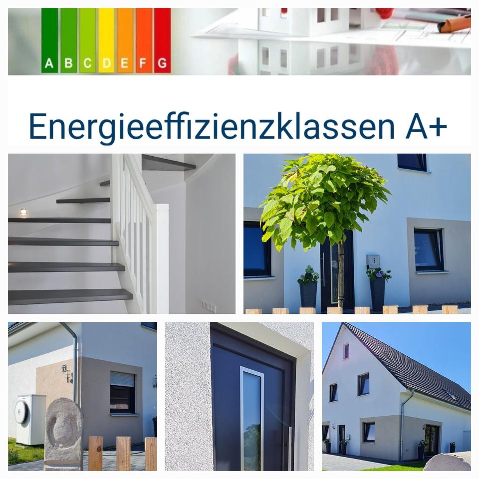 Thumbnail-DDH BJ..2024 mit Grundstück - LK Gifhorn in 29369 Ummern