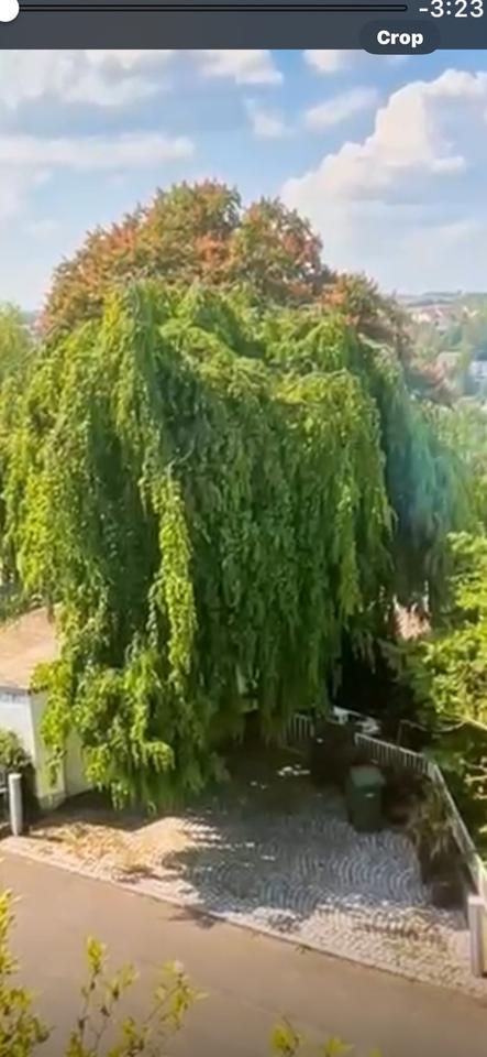 Thumbnail-Dachgeschoss Wohnung mit Gartenanteil in Remseck sofort frei