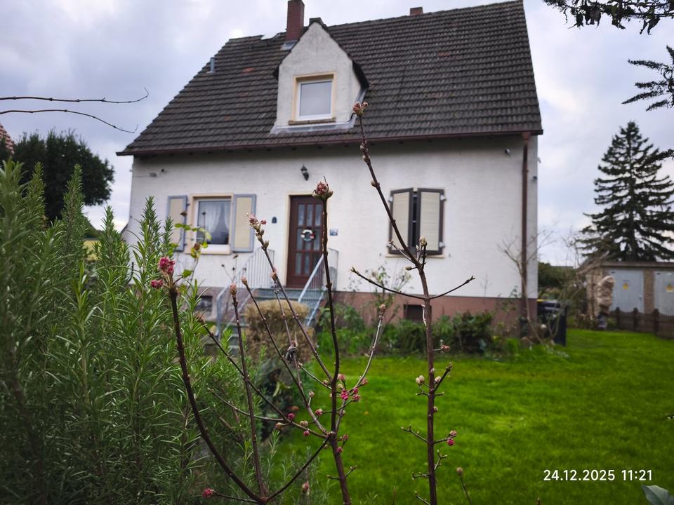 Thumbnail-Gemütlich wohnen Einfamilienhaus Groß-Gerau Heimstättensiedlung