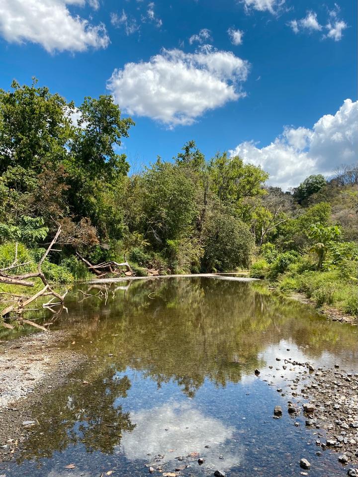 Thumbnail-COSTA Rica Haus 4 ZIMMER mit großem Grundstück langfristig zu vermieten ☎️ 0178