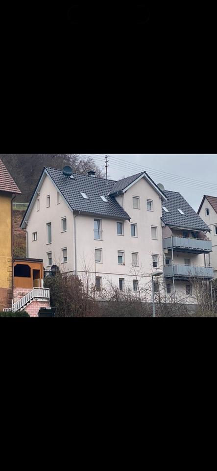 Thumbnail-Doppelhaushälfte mit 2 Wohneinheiten in Calw