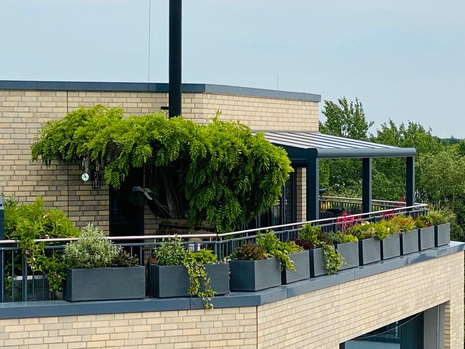 Thumbnail-2,5 Zimmer Mietwohnung