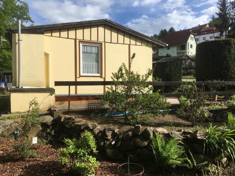 Thumbnail-Kleingarten in Freital Hainsberg „Am Vorholz“ abzugeben