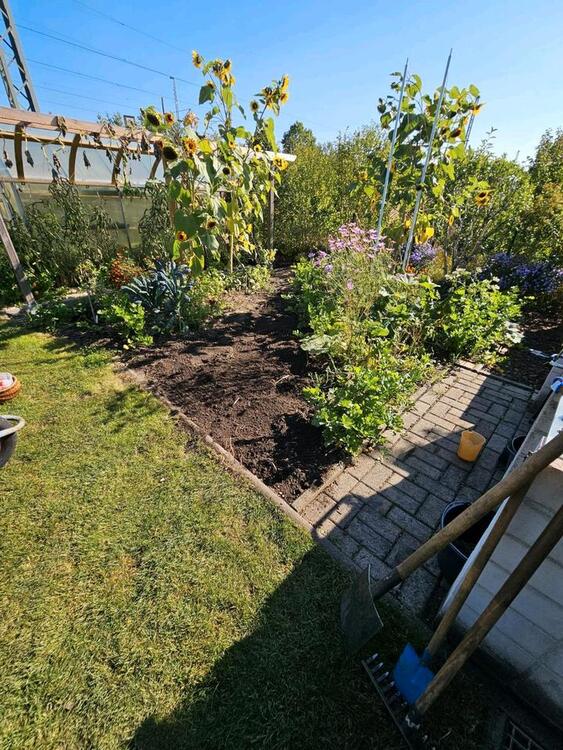 Thumbnail-Kleingarten im KG 1 Elbtal e.V.