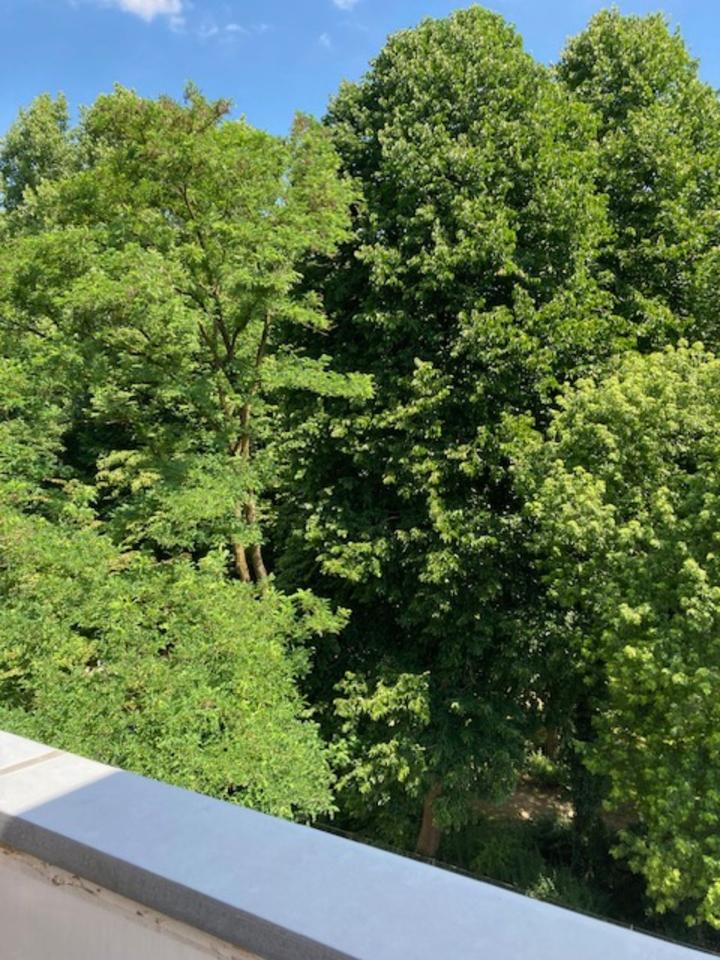 Thumbnail-1-2 Zimmer-Wohnung in exponierter Lage mit grosser Terrasse