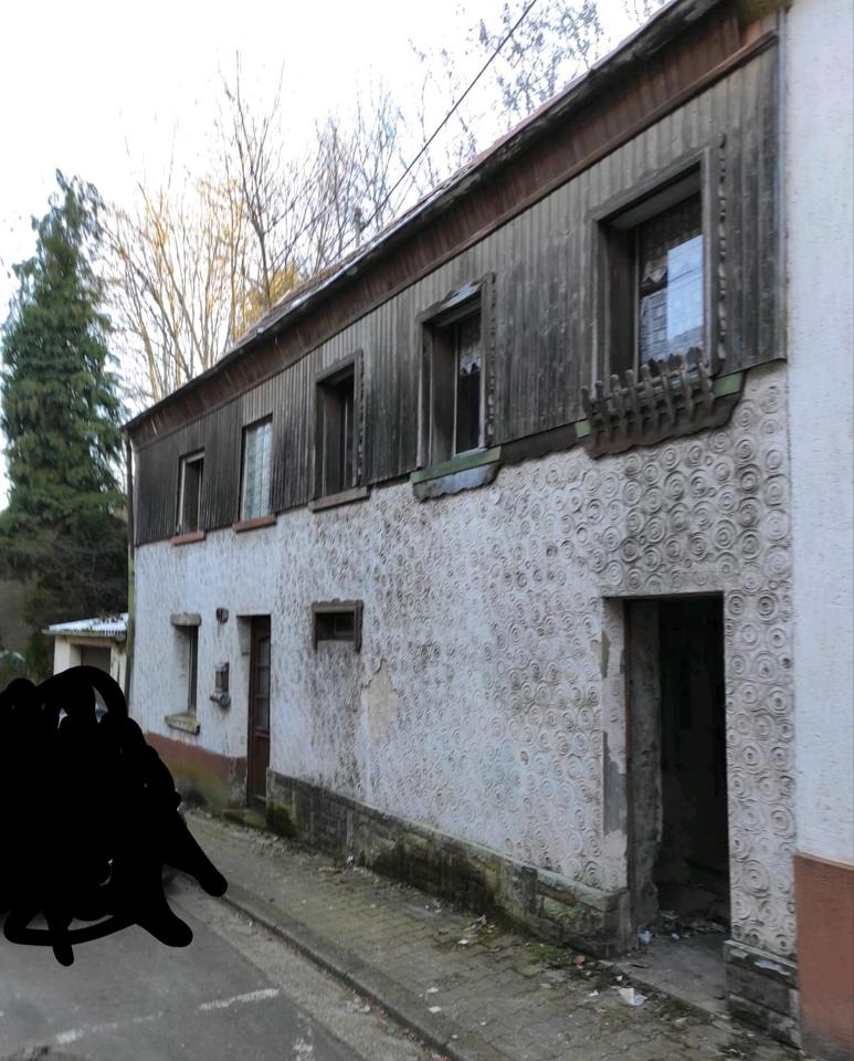 Thumbnail-Neubau oder Kernsanierung im Stadtkern auf riesen Grundstück