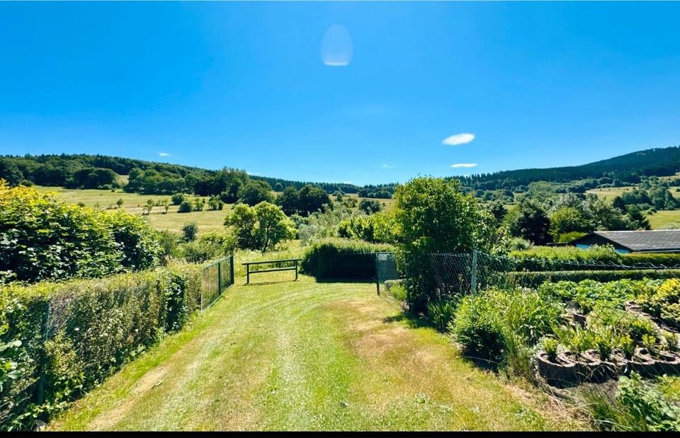 Thumbnail-Neu renovierte 2 Zimmerwohnung