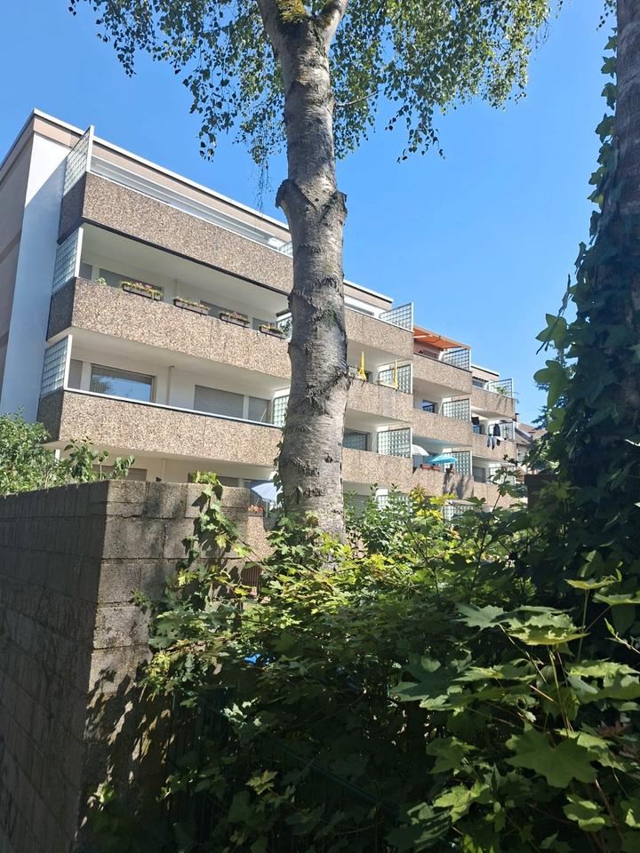 Thumbnail-Panoramablick und vogelgezwitscher - gepflegte Eigentumswohnung