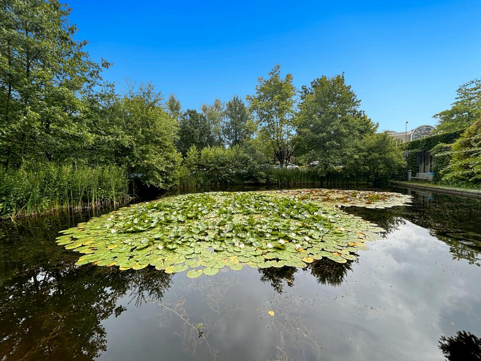 Thumbnail-Privater Büroraum für 2 Person in HQ Ruhrallee