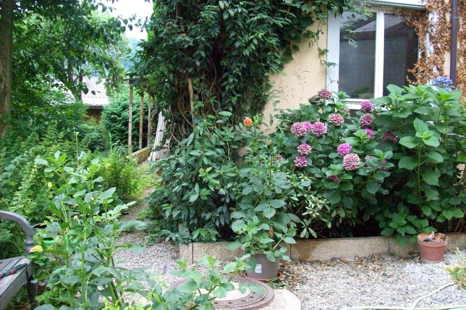 Thumbnail-Haus mit Geschichte