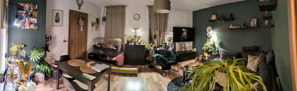 Thumbnail-ANFRAGESTOPP Nachmieter für 2-Raum-Wohnung Weimar Ehringsdorf