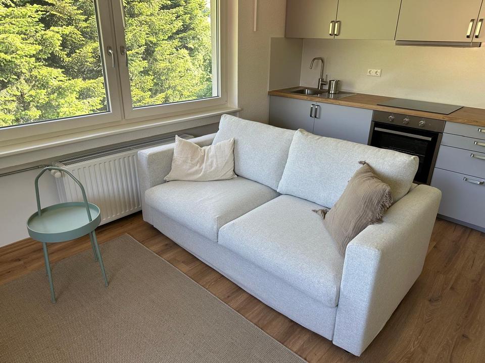 Thumbnail-2-Zimmer-Wohnung mit Küche und Bad voll möbliert ab sofort