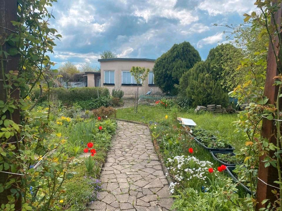 Thumbnail-Kleingarten, Möckern, Leipzig Nord, KGV Neuer Weg