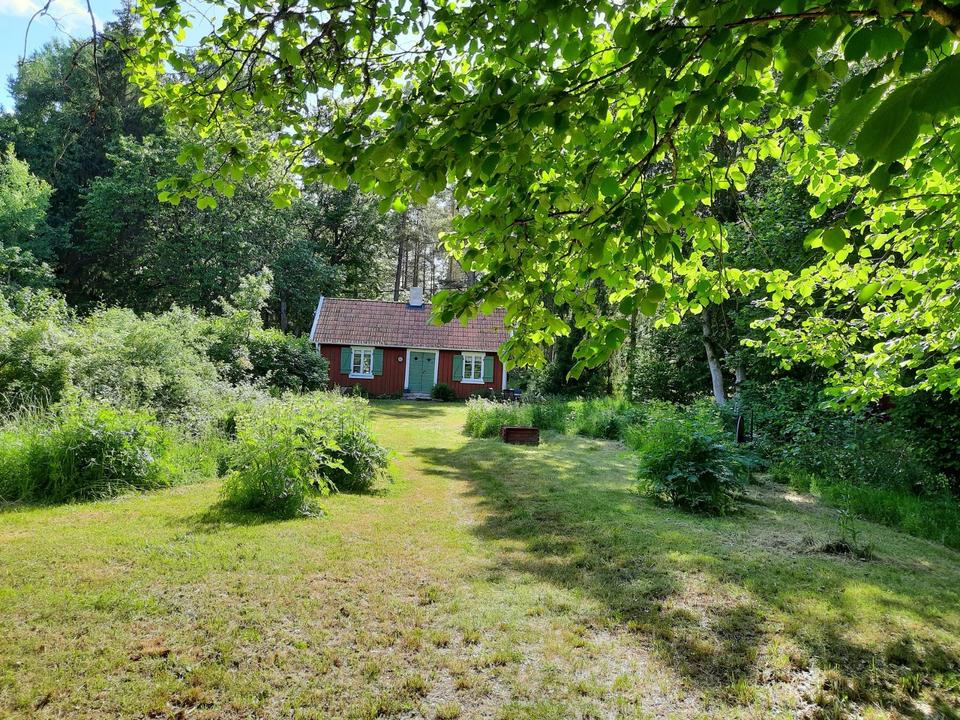 Thumbnail-Südschweden: Kleines Paradies am Waldrand, Hunde gestattet