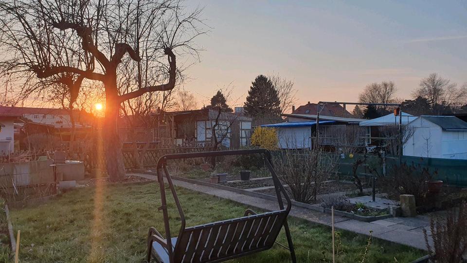 Thumbnail-Kleingarten in Zschachwitz abzugeben ca. 230 m² | Schrebergarten