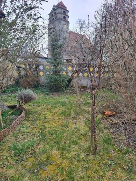 Thumbnail-Kleingarten in Dresden - Cotta