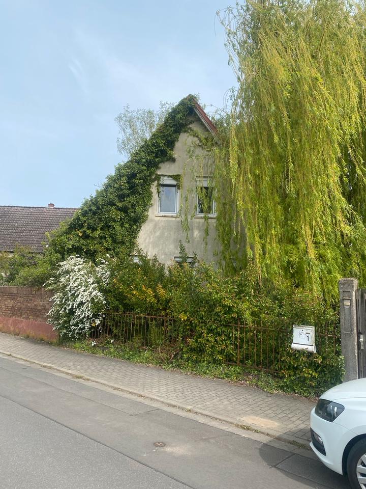 Thumbnail-Liebhaber Objekt-freistehendes Einfamilienhaus mit großem Garten