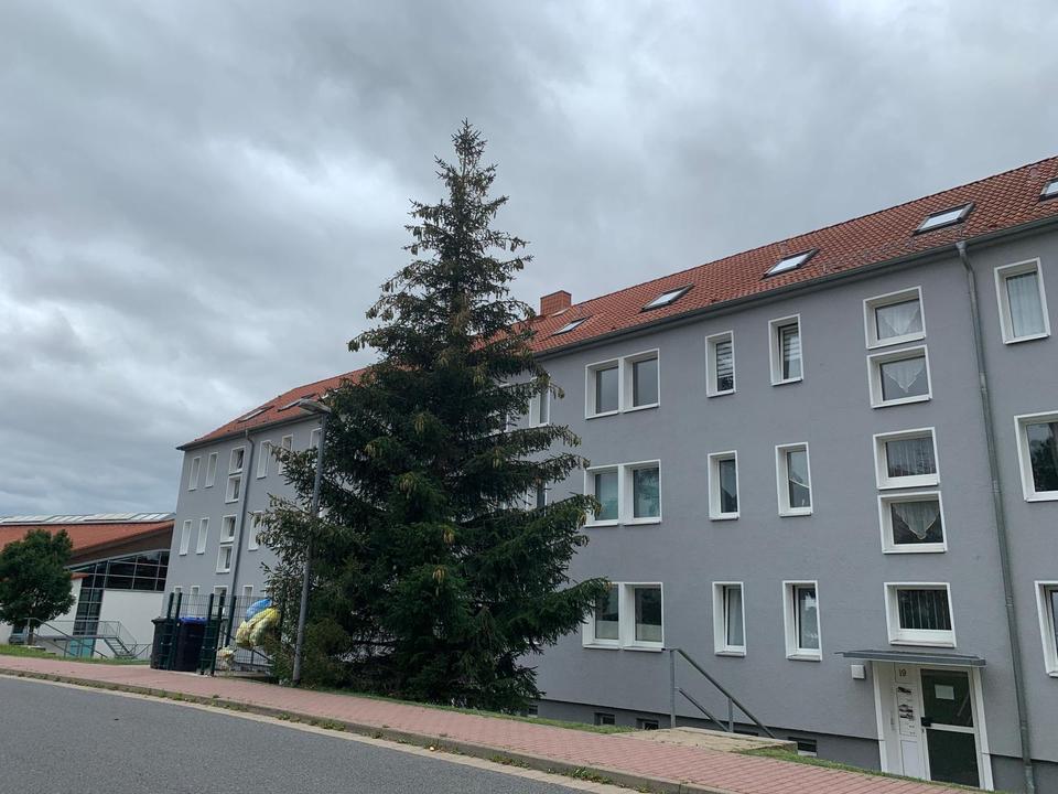 Thumbnail-Schnäppchen ! 3 Raum Wohnung in Dingelstädt