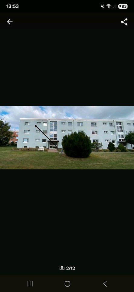 Thumbnail-Wohnung zu vermieten ab 1.04.2026 in Stolzenau