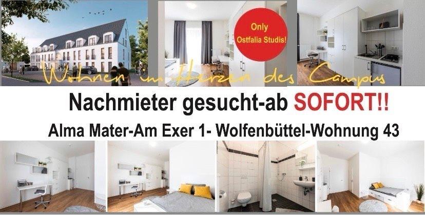 Thumbnail-Stundentenwohnung im Erdgeschoss Neubau am exer 43 Wolfenbüttel