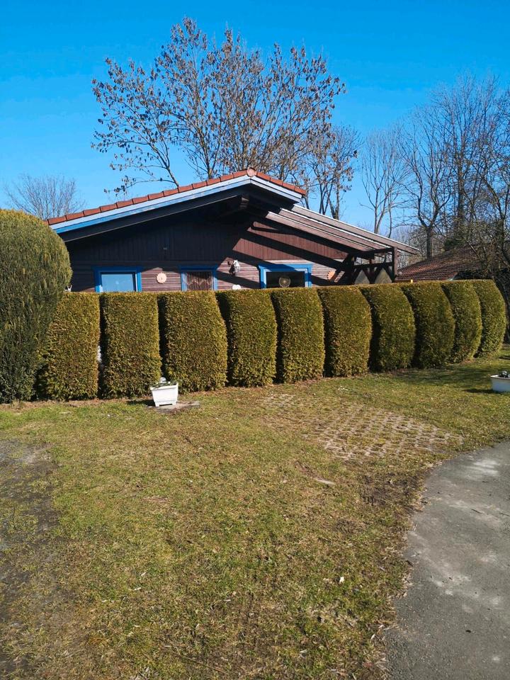 Thumbnail-Schönes Blockhaus im Elm zu verkaufen