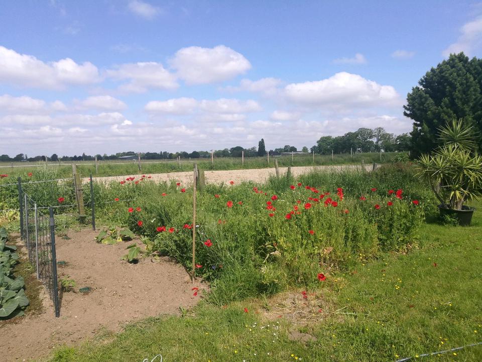 Thumbnail-Wohnung auf dem Land zu vermieten