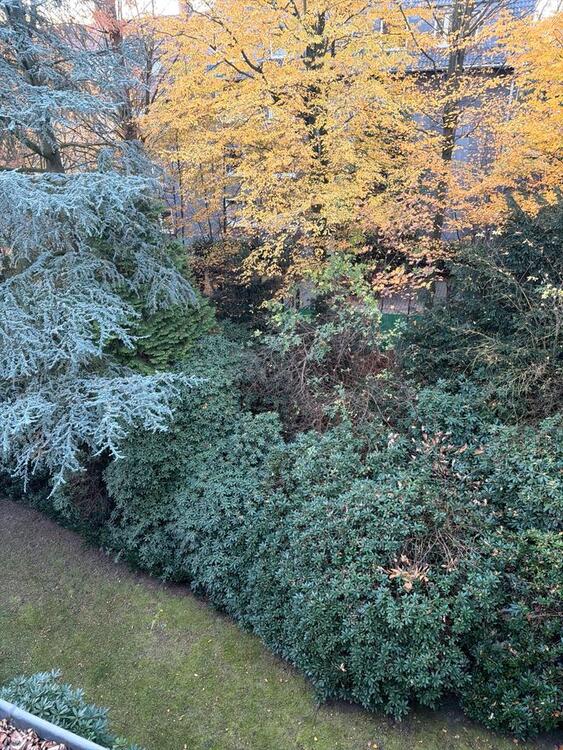 Thumbnail-198 qm 6.5 Raum mit Garten und Schwimmbad und Saunaraum