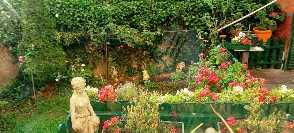 Thumbnail-2-ZKDB Zentral Elberfeld