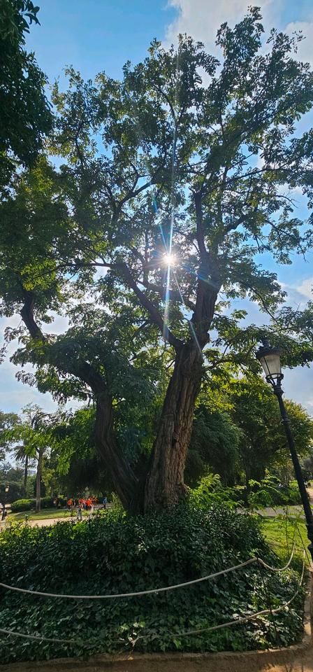 Thumbnail-3 Zimmer Wochnung. 34628 Loshausen- Willingshausen . Kalt 580€