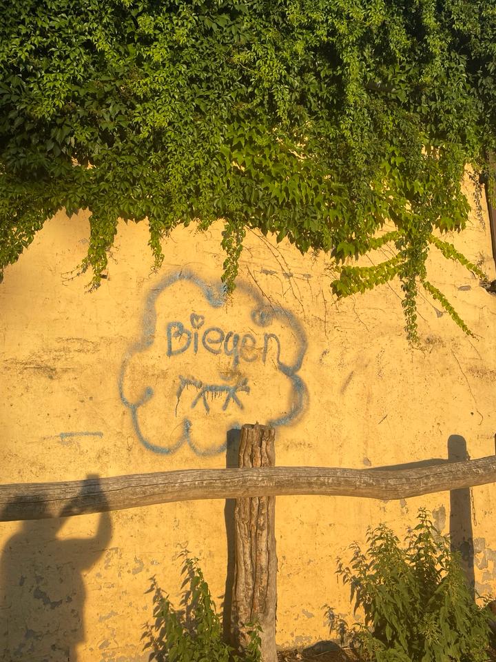 Thumbnail-Zimmer im EFH