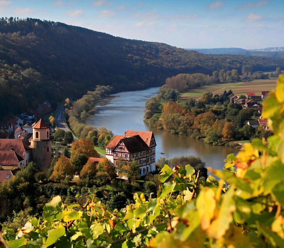 Thumbnail-Wohnen in Main Nähe - Homburg Triefenstein