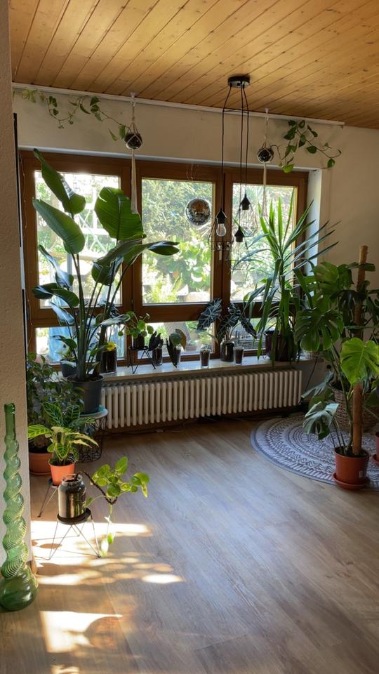 Thumbnail-2 Zimmer Wohnung in Wallbach- Bad Säckingen