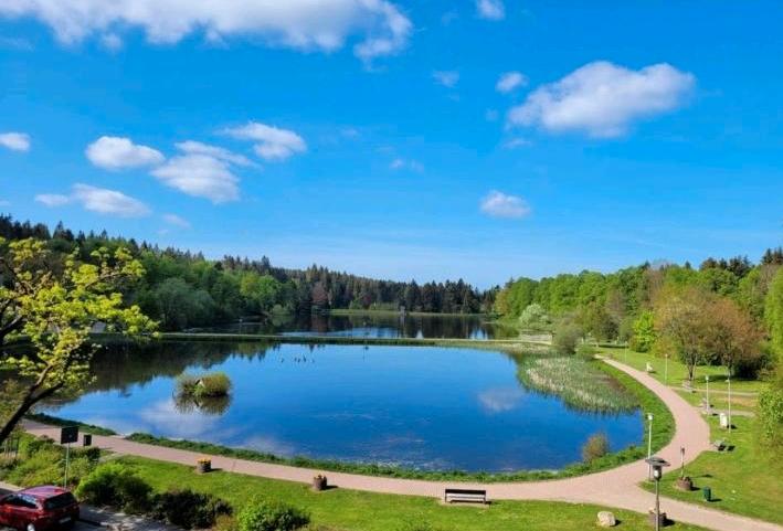 Thumbnail-LAST MINUTE Urlaub im HARZ - Familienurlaub Schnee