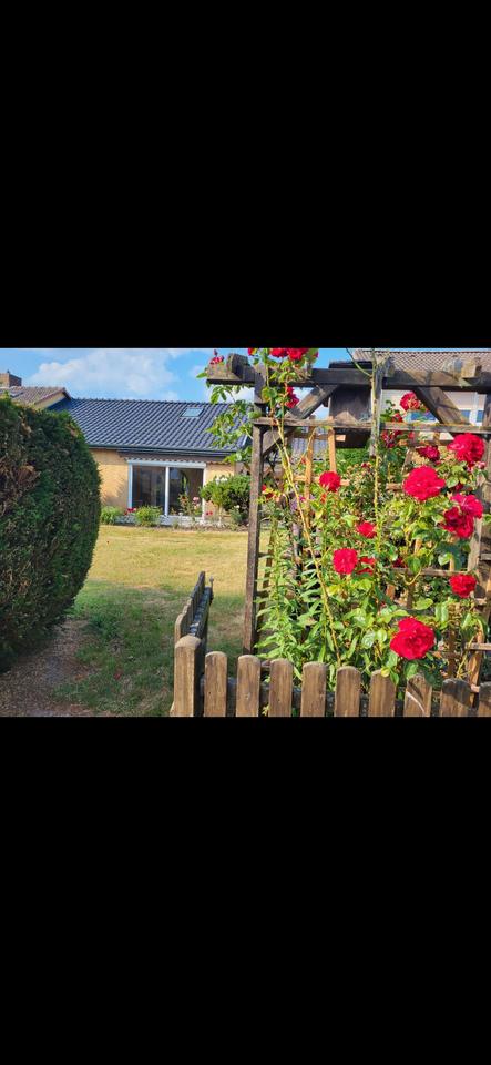 Thumbnail-Wg zimmer im Reihenhaus in Luthe mit Großem Gratwn