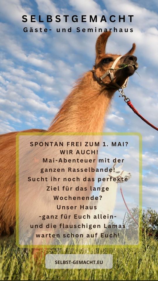 Thumbnail-FREI zum 1. Mai! Ganzes Gästehaus für Euch + Lama-Erlebnis