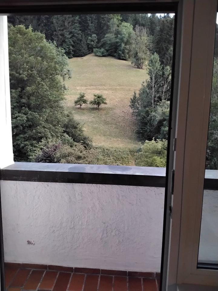 Thumbnail-1-Zimmer-Wohnung mit Balkon & traumhaftem Naturblick – ruhig