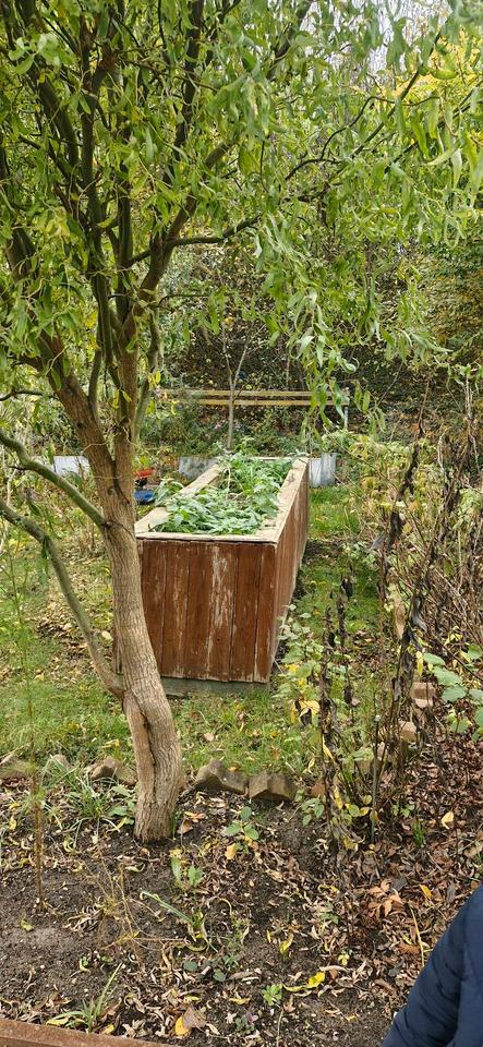 Thumbnail-Streber garten