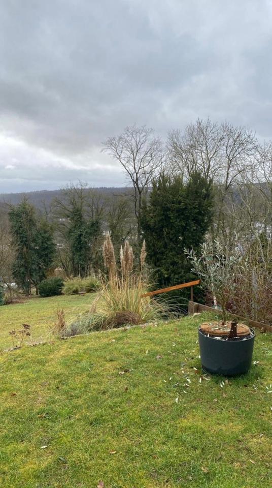 Thumbnail-Reihenmittelhaus in TOP Aussichtslage