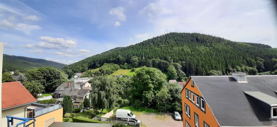 Thumbnail-Balkon u. 2 Bäder, renovierte 4-Raum Wohnung!