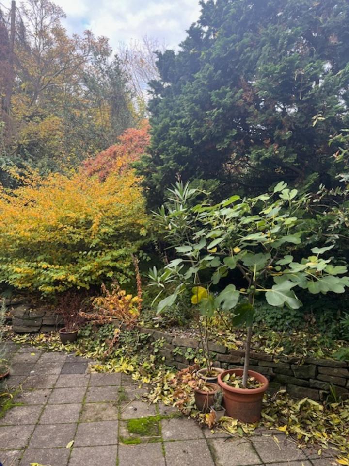 Thumbnail-ruhige 3 Zimmer EG-Wohnung mit kleiner Terrasse in der Stadtmitte