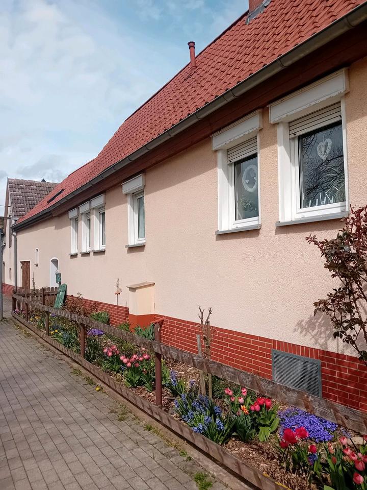 Thumbnail-liebevoll renoviertes Haus