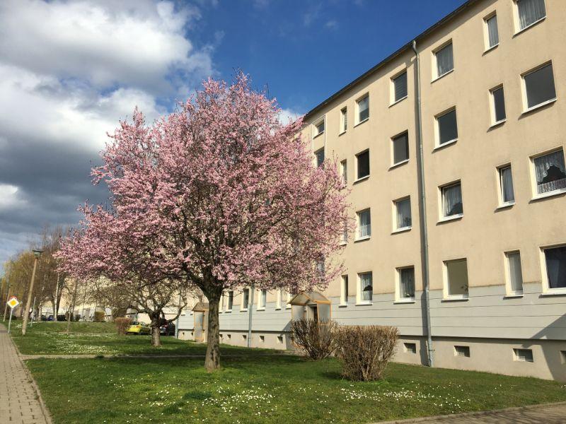 Thumbnail-EINFACH EINZIEHEN