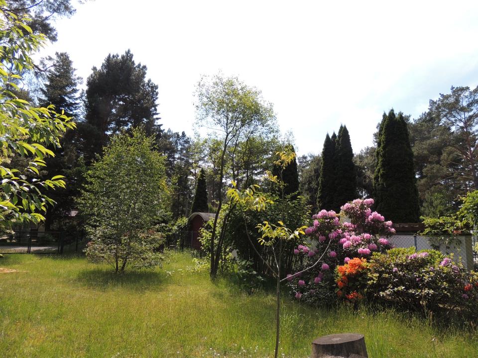 Thumbnail-Grünheide Traumlage 2 Bungalow's Wohnen möglich