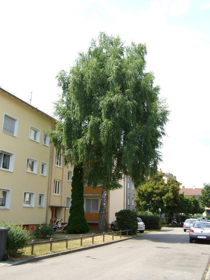 Thumbnail-Gemütliche 2-Zimmer Wohnung mit Balkon in Hohenkreuz