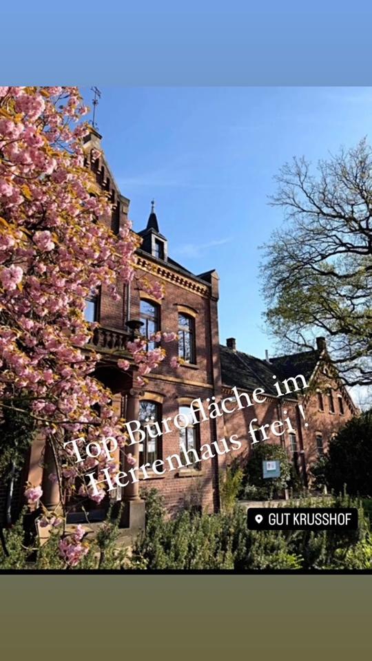 Thumbnail-Schicke BüroPraxisfläche auf Gutshof 1. OG. Stuck