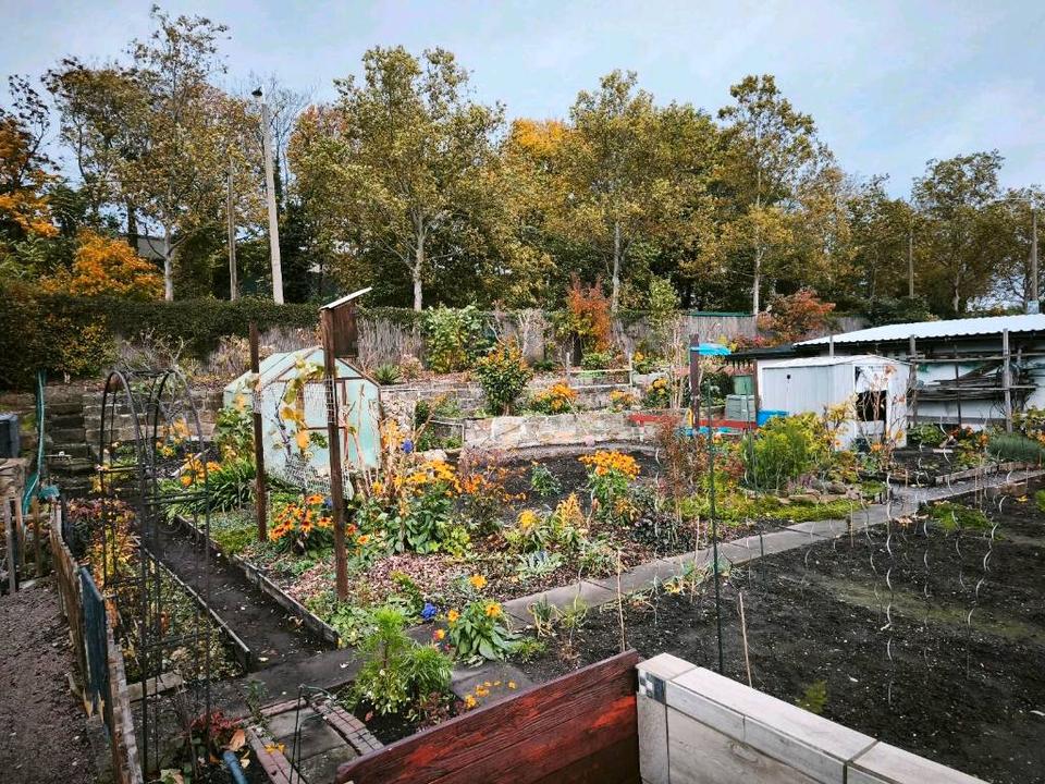 Thumbnail-Pacht Garten